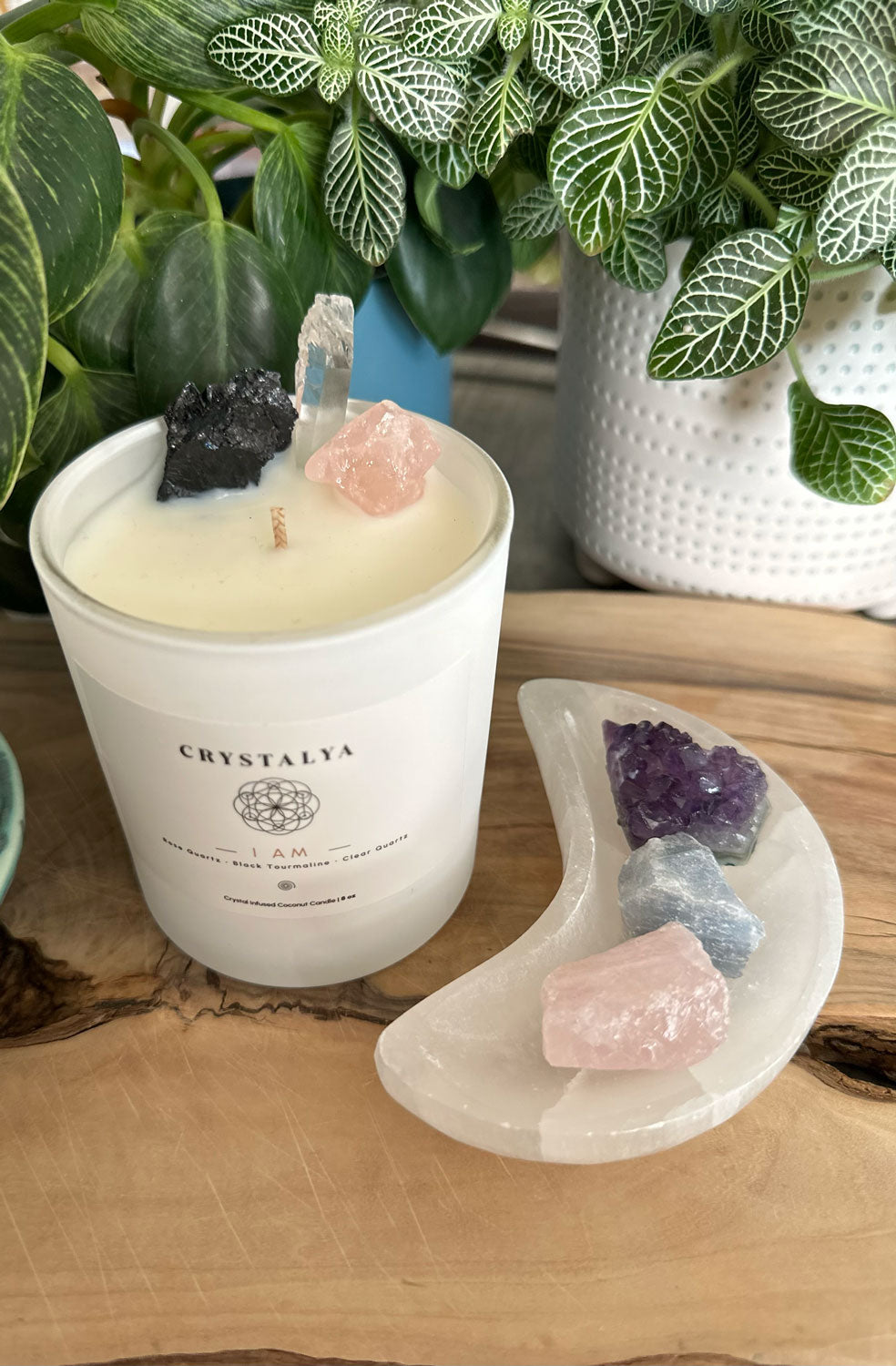 Selenite Moon Charging Dish + Crystal Companion Set