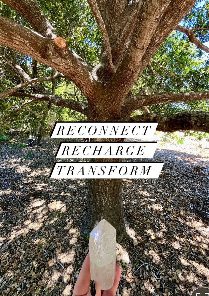 Raw Crystal Set | Hand-Selected Energy & Healing Stones