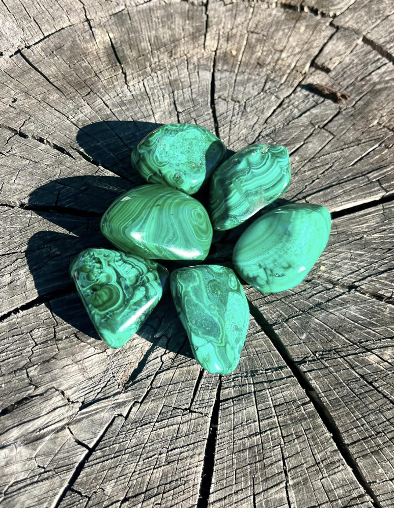 FREE CRYSTAL with Your MALACHITE Order for EARTH DAY!