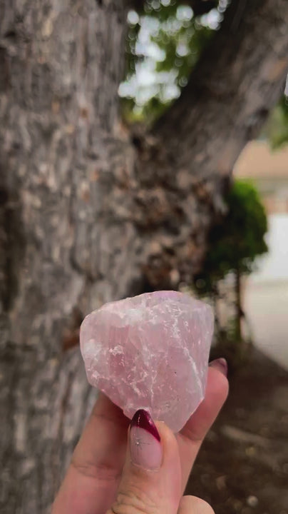 Heart Harmony Crystal Set: Selenite Heart Shaped Dish + Raw Rose Quartz
